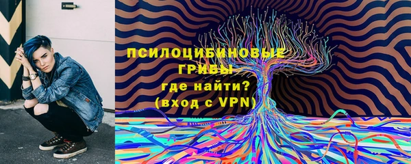 марки lsd Горняк